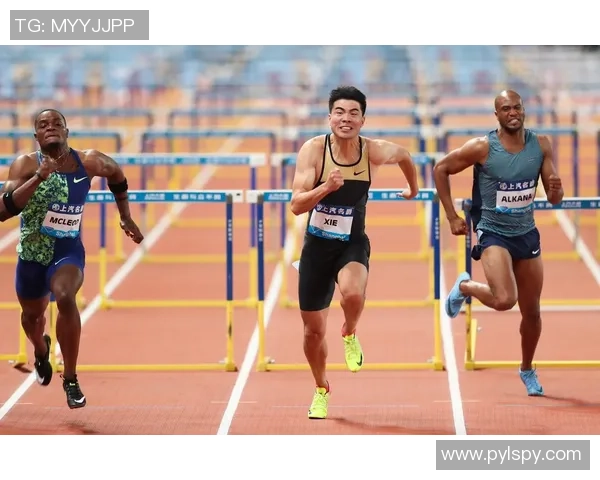 上海乒乓球队在钻石联赛中的辉煌成就与突破之路探秘