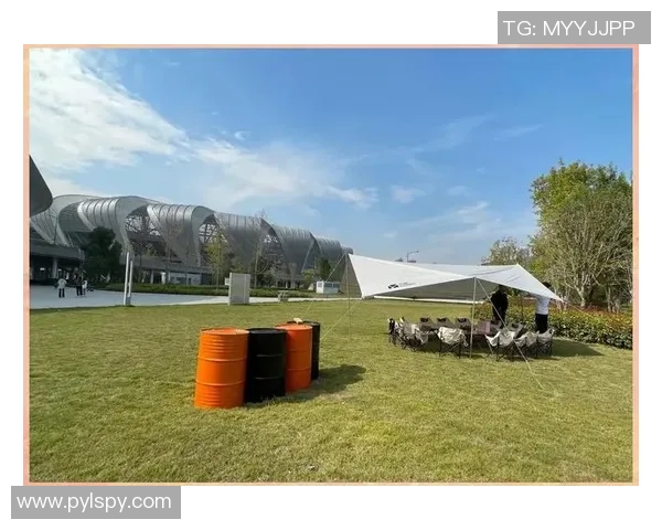 飞盘新手必看：从零开始的游戏意识与技巧全面指南